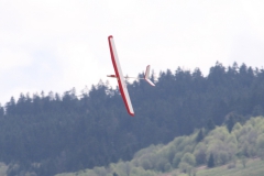 RhoenIMG_6929-crop2013