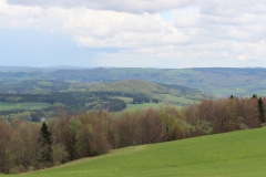 RhoenIMG_6967-crop2013