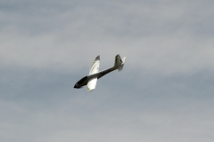 RhoenIMG_7198-crop2013