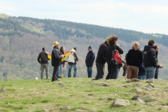 RhoenIMG_7209-crop2013