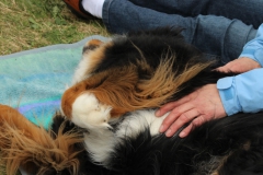 RhoenIMG_7437-crop2013